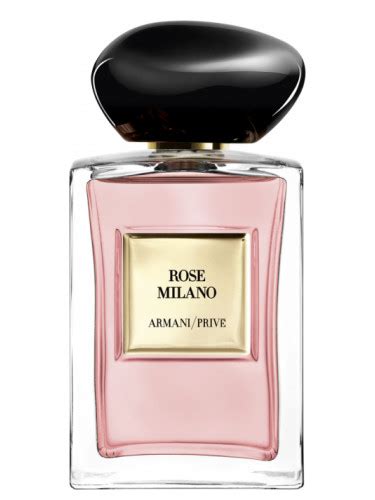 armani rose milano perfume